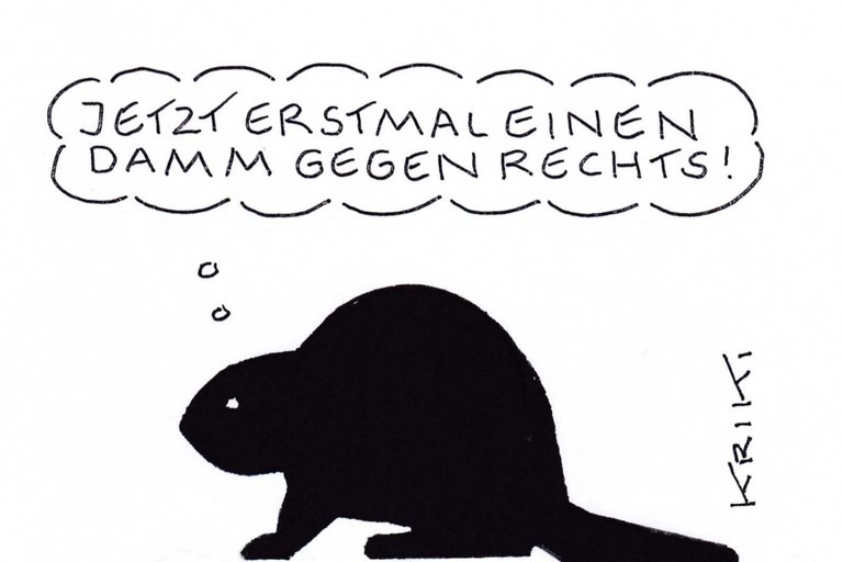 08_cartoon_biber_rechts_damm.jpg