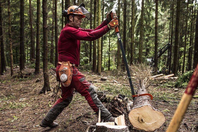 09_oeffentlicher_dienst_waldarbeiter_01