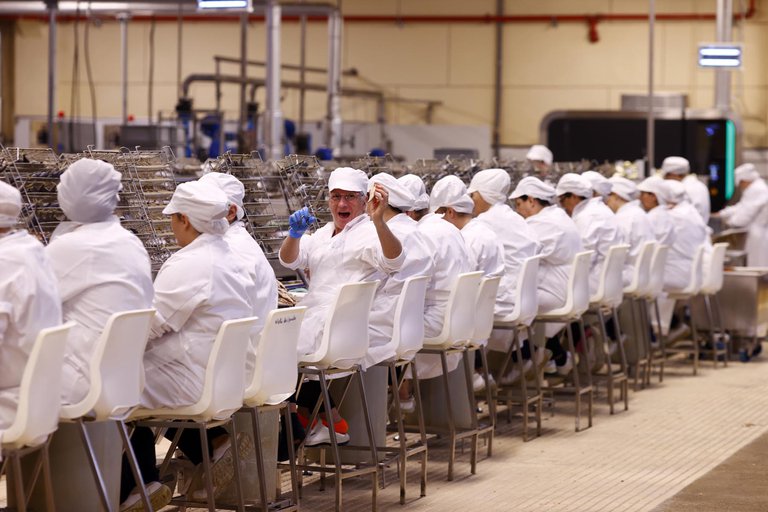 16_Portugal_Viertagewoche_Fischfabrik_Arbeiterinnen.jpg
