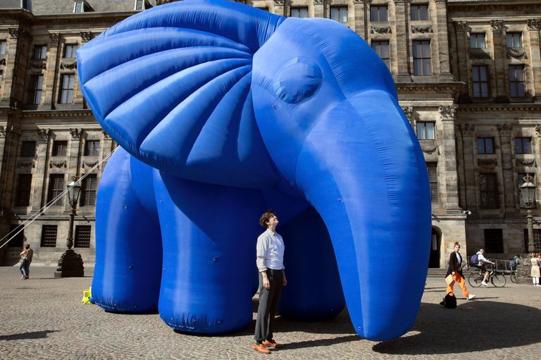 18_elefant_blau_engelhorn.jpg