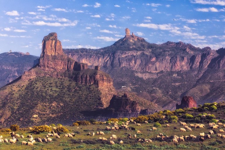 19_gran_canaria.jpg
