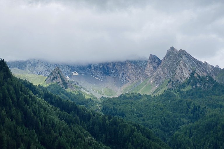 Alpenpanorama.jpeg
