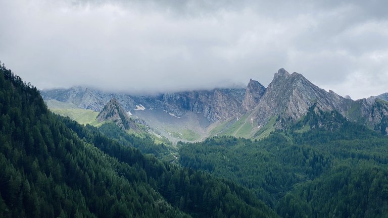 Alpenpanorama.jpeg