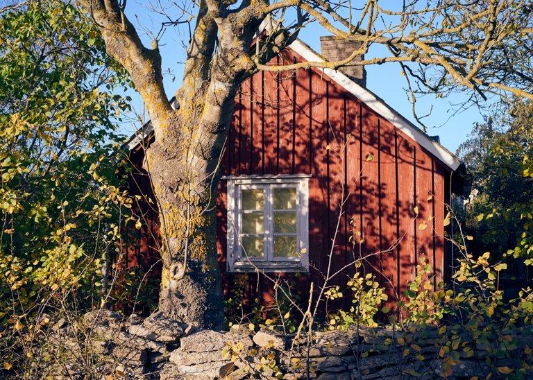 Buch_Haus.jpg