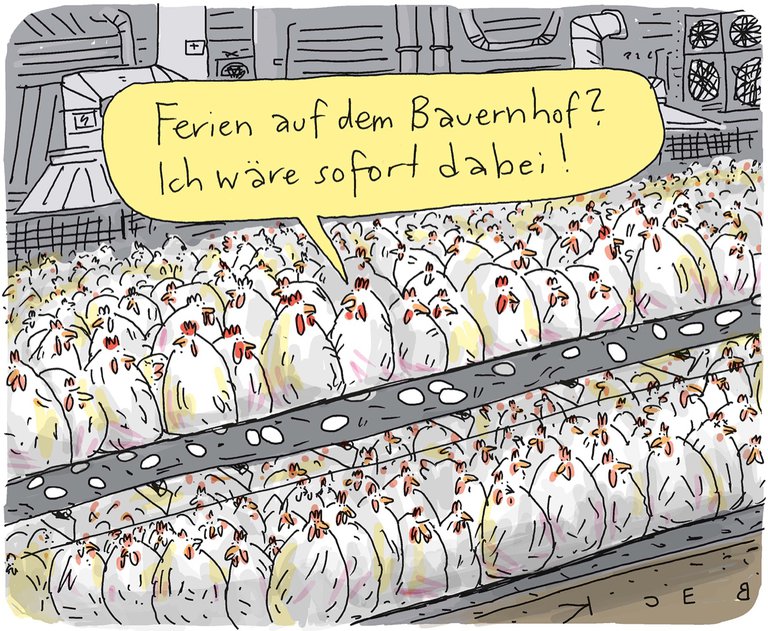 Ferien-Bauernhof.jpg