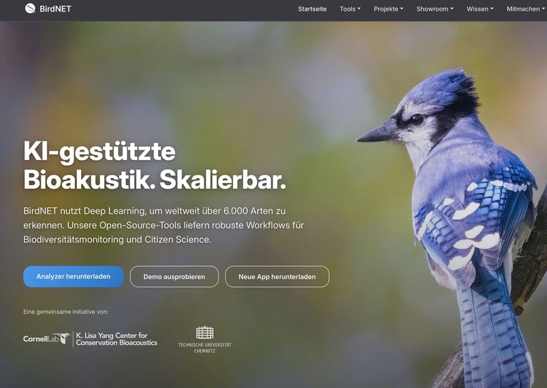 MULITMEDIA_Birdnet.jpg