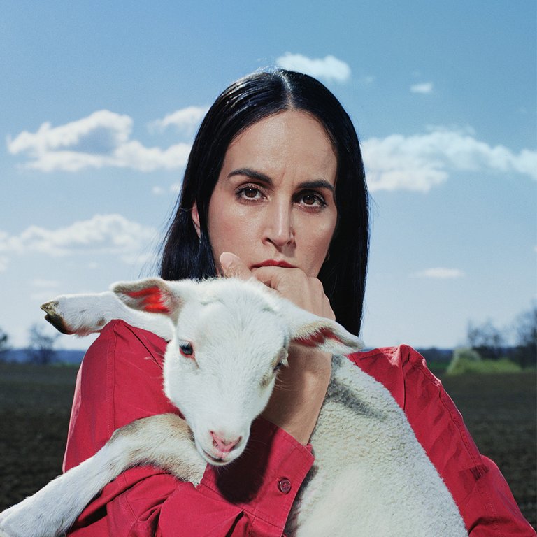 Musik_EBOW_TEL_Cover.jpg