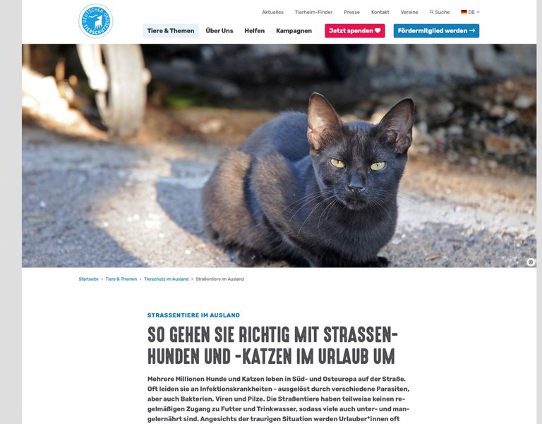 multimedia_Strassentiere.jpg